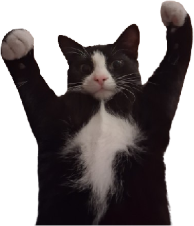 sammie